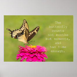 Butterfly Counts Poster