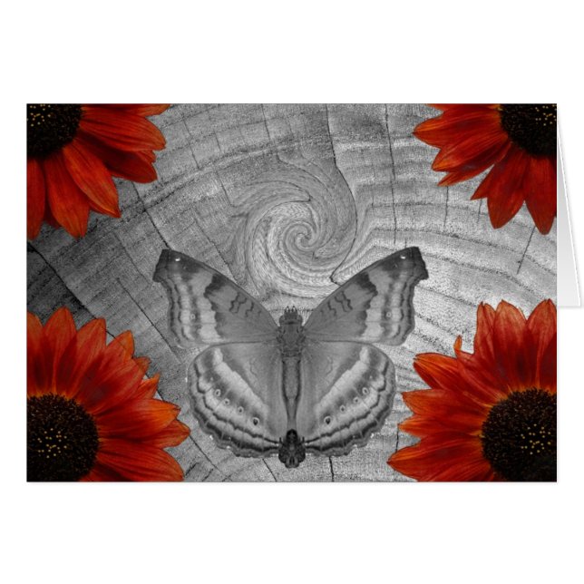 Butterfly Dream (Voorkant Horizontaal)