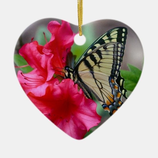 Butterfly Dreams Ornament (Voorkant)