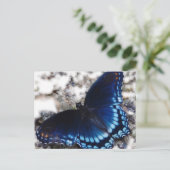 Butterfly-effect Briefkaart (Staand voorkant)