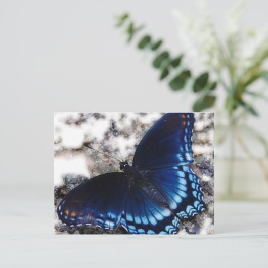 Butterfly-effect Briefkaart (Staand voorkant)