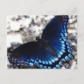 Butterfly-effect Briefkaart (Voorkant)