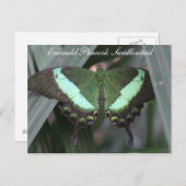 Butterfly Emerald Peacock Swallowtail # 2 Briefkaart (Voorkant / Achterkant)