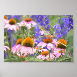 Butterfly en Daisies Poster