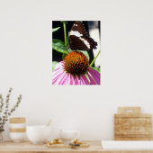 Butterfly en Echinecea 92 Poster (Keuken)