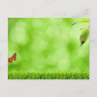 Butterfly en Ladybug boven Grass Briefkaart
