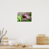 Butterfly en Lilacs Poster (Keuken)
