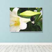 Butterfly en Lily Canvas Afdruk (Insitu (Houten vloer))