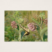 Butterfly en Milkweed Visitekaartjes (Achterkant)