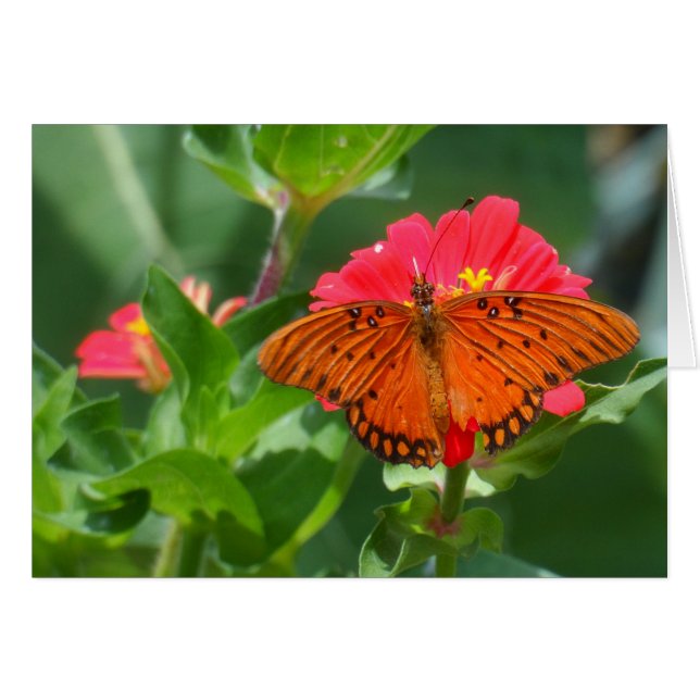 Butterfly en roze ventilator (Voorkant Horizontaal)