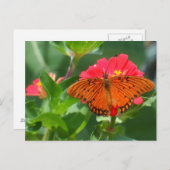 Butterfly en roze ventilator briefkaart (Voorkant / Achterkant)