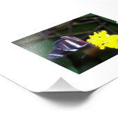 Butterfly Foto Afdruk (Hoek)