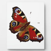 Butterfly Fotoplaat (Voorkant)