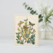 Butterfly Garden Briefkaart (Staand voorkant)