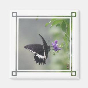 Butterfly Garden Square Magnet Magneet