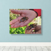 Butterfly Garden Wrapped Canvas Afdruk (Insitu (Houten vloer))