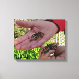 Butterfly Garden Wrapped Canvas Afdruk