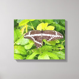 Butterfly Garden Wrapped Canvas Afdruk