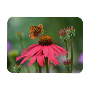 Butterfly Gathering Nectar Magneet