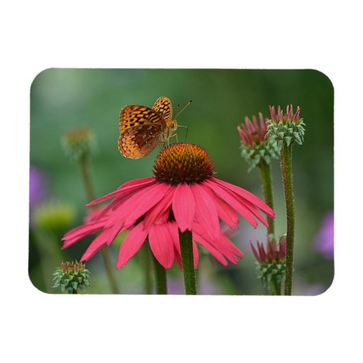 Butterfly Gathering Nectar Magneet (Horizontaal)