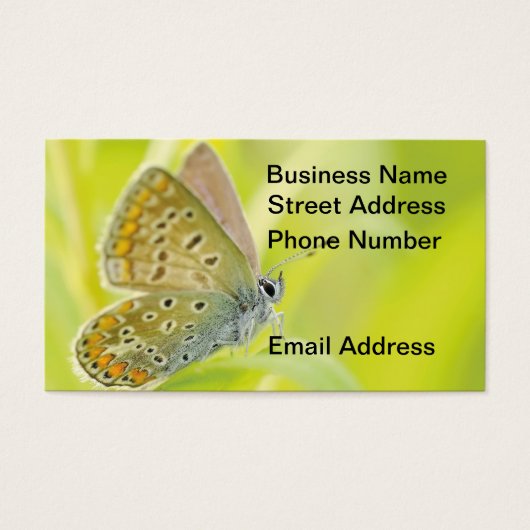 Butterfly Gazing Business Card (Devant)