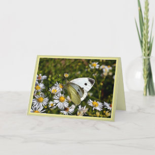 Butterfly Greeting :Card Kaart