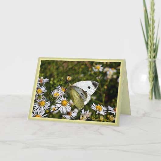 Butterfly Greeting :Card Kaart (Voorkant)