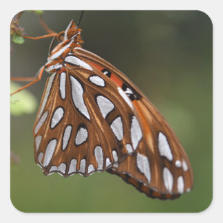 Butterfly Gulf Fritillary Passion Oranje gepolijst Vierkante Sticker