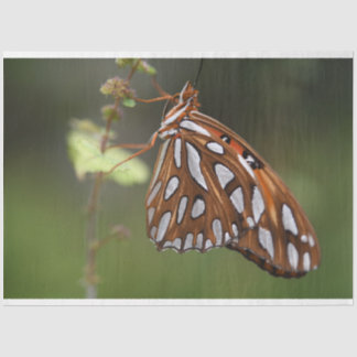 Butterfly Gulf Fritillary Passion Oranje Green Tissuepapier