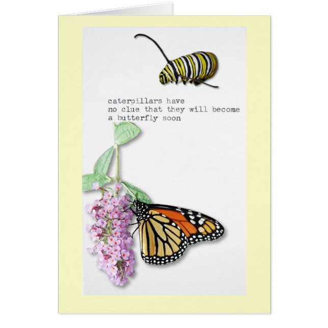 Butterfly Haiku (Voorkant)