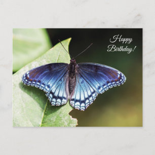Butterfly Happy Birthday Briefkaart