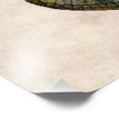  Butterfly Illustratie 1800-vlinders Foto Afdruk (Hoek)