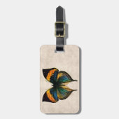 Butterfly Illustration 1800's Butterflies Bagagelabel (Voorkant verticaal)