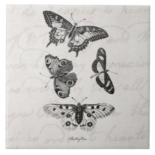Butterfly Illustration 1800s Butterflies Tegeltje