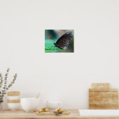 Butterfly in Aqua Poster (Keuken)