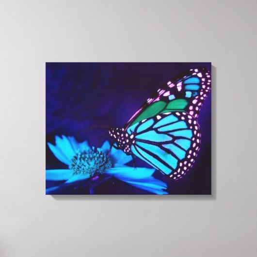 Butterfly in Blue Light Canvas Print (Voorkant)