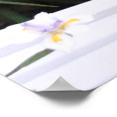 Butterfly Iopen Poster (Hoek)