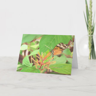 Butterfly Kaart