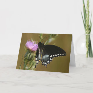 Butterfly Kaart