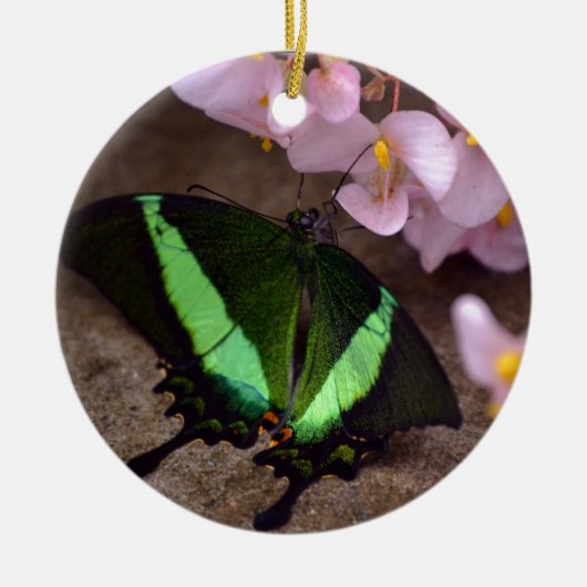 Butterfly Keramisch Ornament (Voorkant)