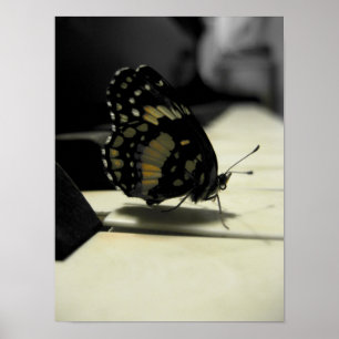 Butterfly Kisses Poster