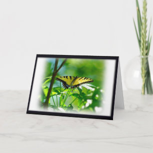 Butterfly krijgt een goede kaart