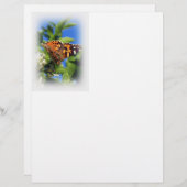 Butterfly Letterhead Briefhoofd Ontwerp (Voorkant / Achterkant)