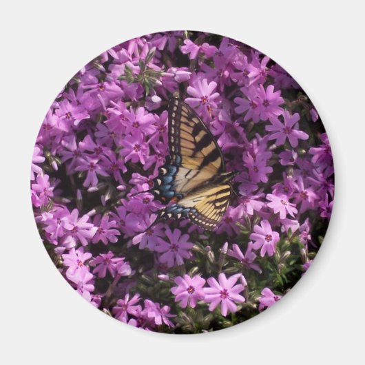 Butterfly Magneet (Voorkant)