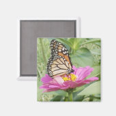 Butterfly Magneet (Voorkant / Achterkant)