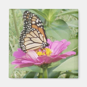Butterfly Magneet