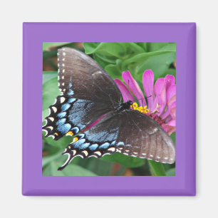 Butterfly Magneet