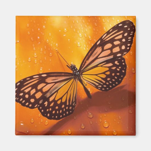 Butterfly Magnet Magneet (Voorkant)