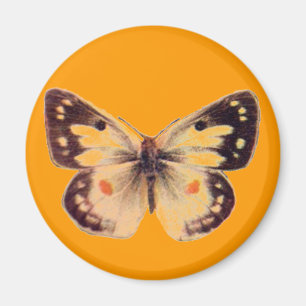 Butterfly Magnet Magneet