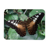Butterfly Magnet Magneet (Horizontaal)